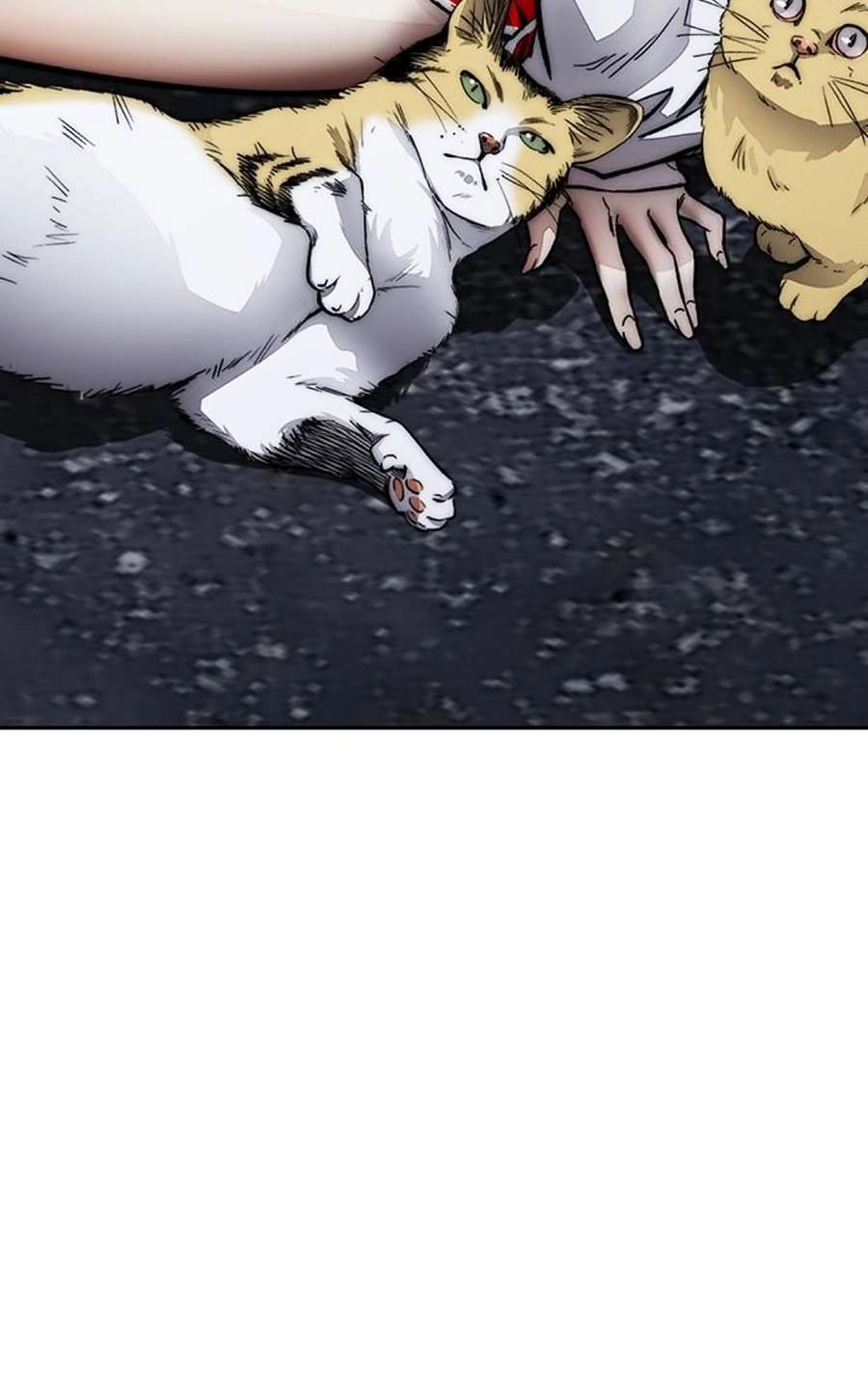 Thể Thao Cực Hạn Chapter 382.5 - 64