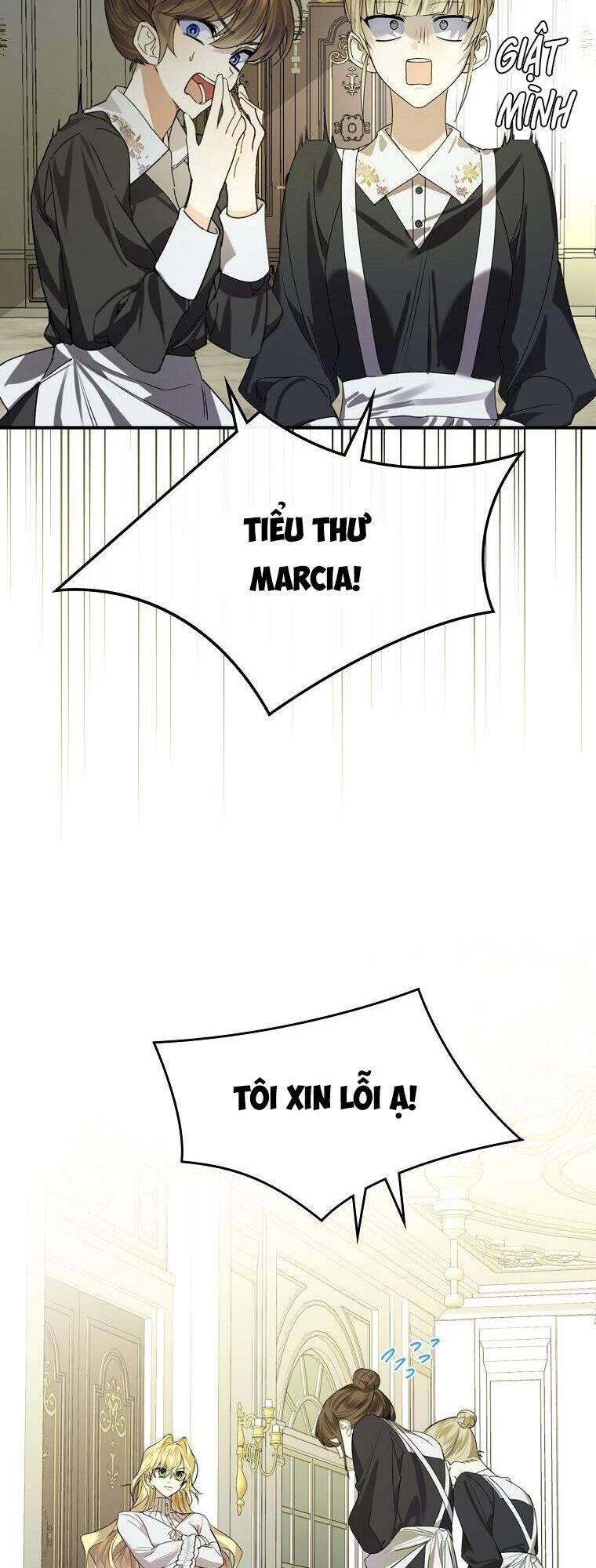 Kế Hoạch Kết Thúc Có Hậu Cho Nhân Vật Phản Diện Chapter 3 - 11