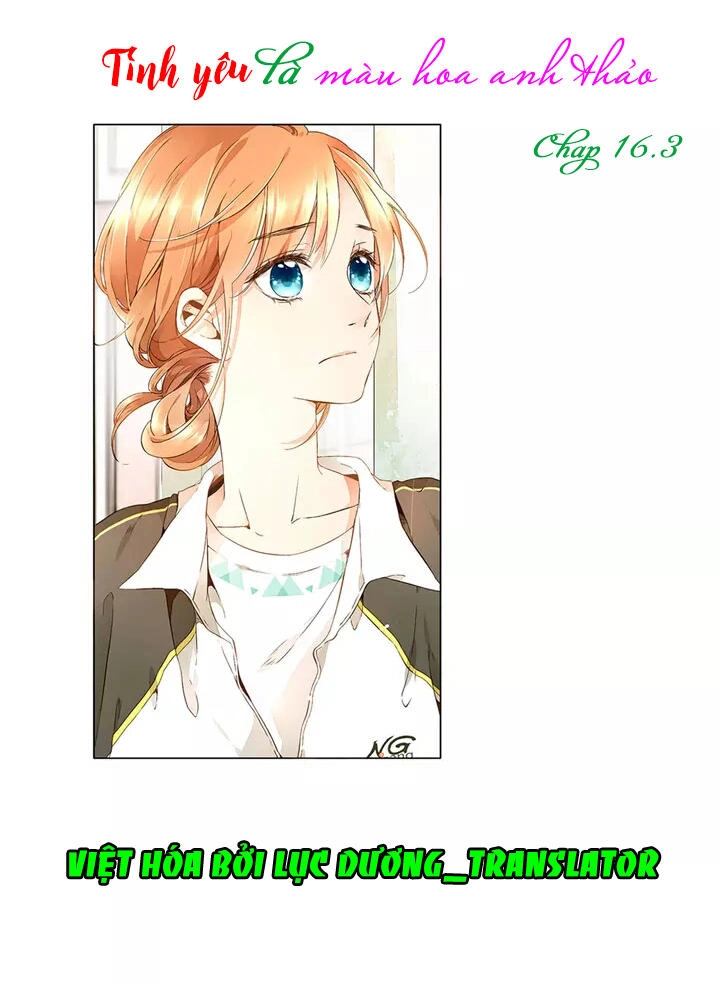 Tình Yêu Là Màu Hoa Anh Thảo Chapter 16.3 - 1