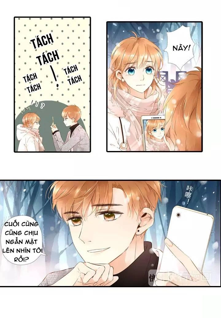 Tình Yêu Là Màu Hoa Anh Thảo Chapter 18 - 4