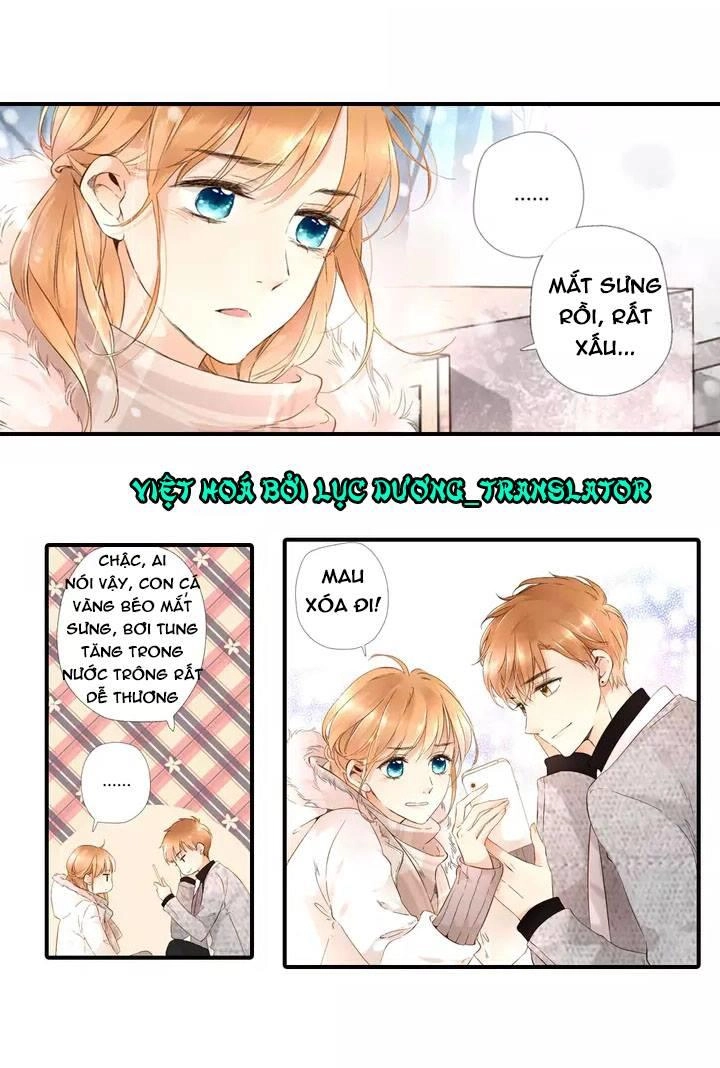 Tình Yêu Là Màu Hoa Anh Thảo Chapter 18 - 5