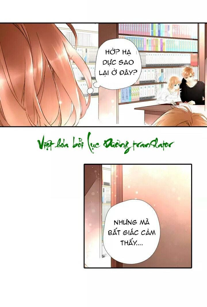 Tình Yêu Là Màu Hoa Anh Thảo Chapter 19 - 4
