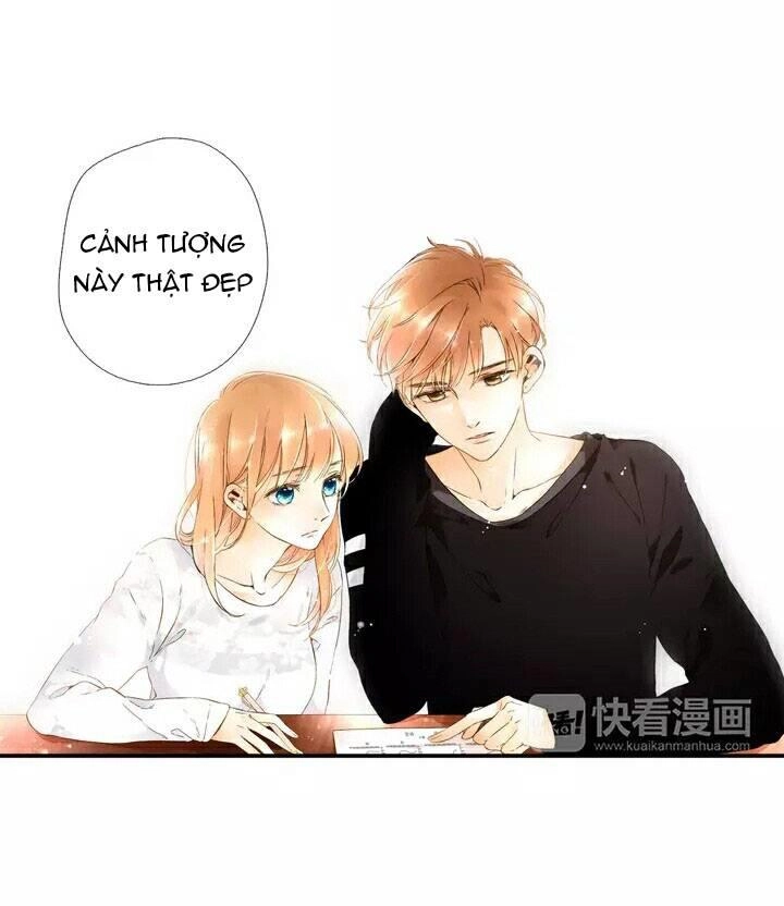 Tình Yêu Là Màu Hoa Anh Thảo Chapter 19 - 5