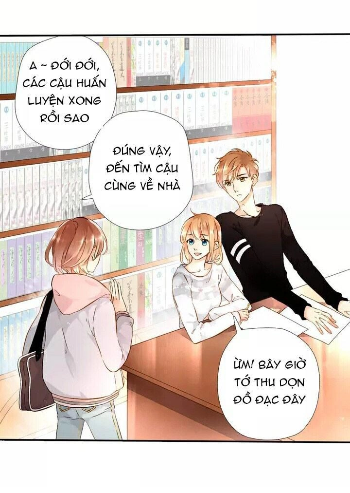 Tình Yêu Là Màu Hoa Anh Thảo Chapter 19 - 8