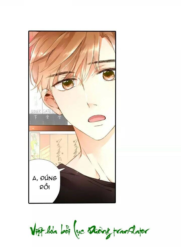 Tình Yêu Là Màu Hoa Anh Thảo Chapter 19 - 9