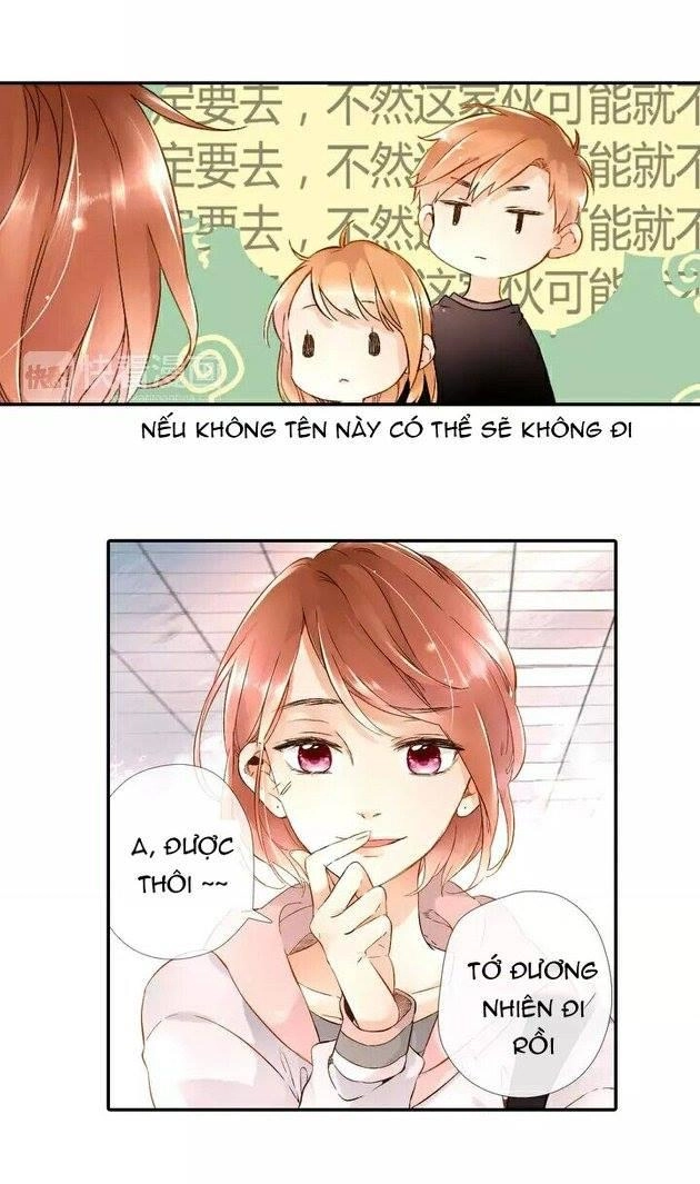 Tình Yêu Là Màu Hoa Anh Thảo Chapter 19 - 11