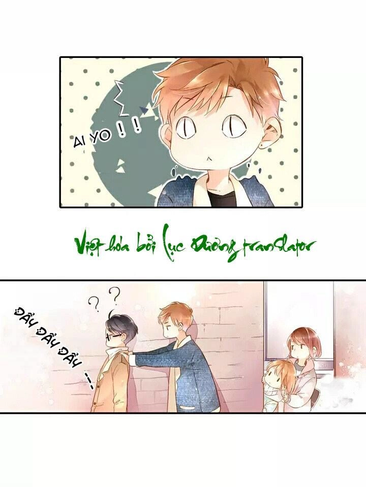 Tình Yêu Là Màu Hoa Anh Thảo Chapter 19 - 15