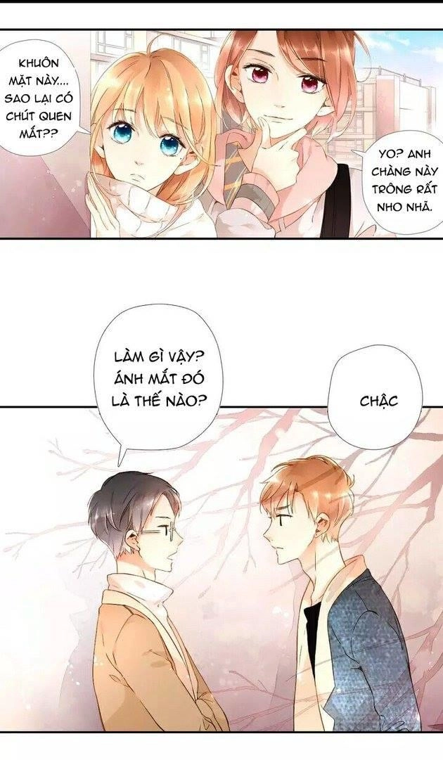 Tình Yêu Là Màu Hoa Anh Thảo Chapter 19 - 16