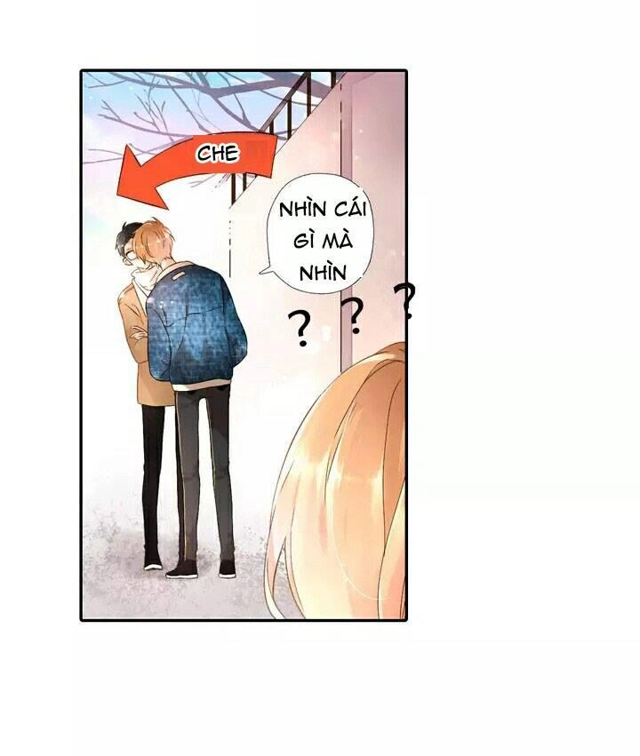 Tình Yêu Là Màu Hoa Anh Thảo Chapter 19 - 21