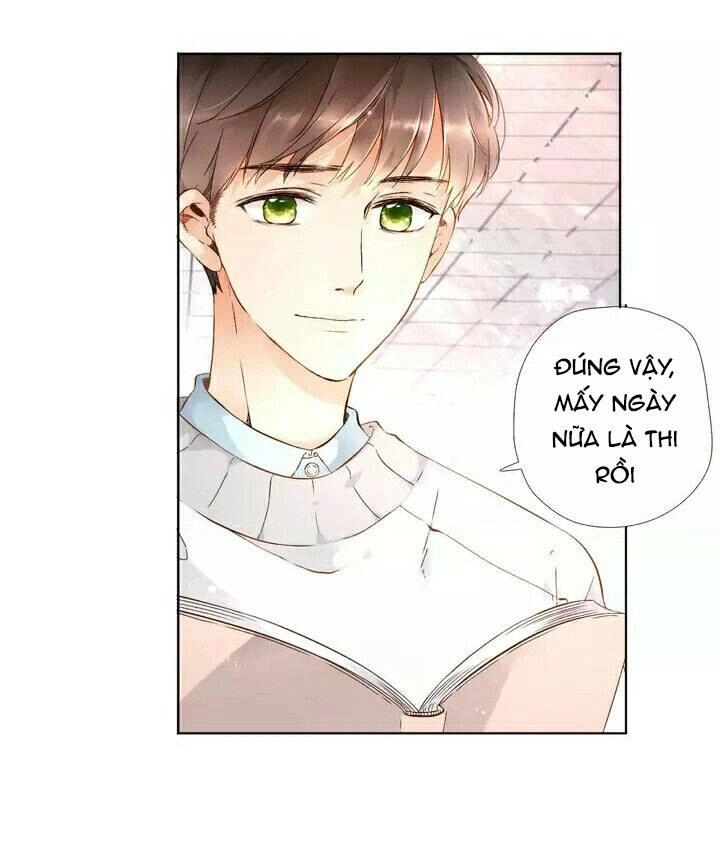 Tình Yêu Là Màu Hoa Anh Thảo Chapter 19 - 35