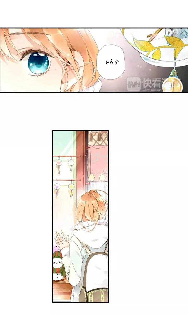 Tình Yêu Là Màu Hoa Anh Thảo Chapter 19.5 - 3