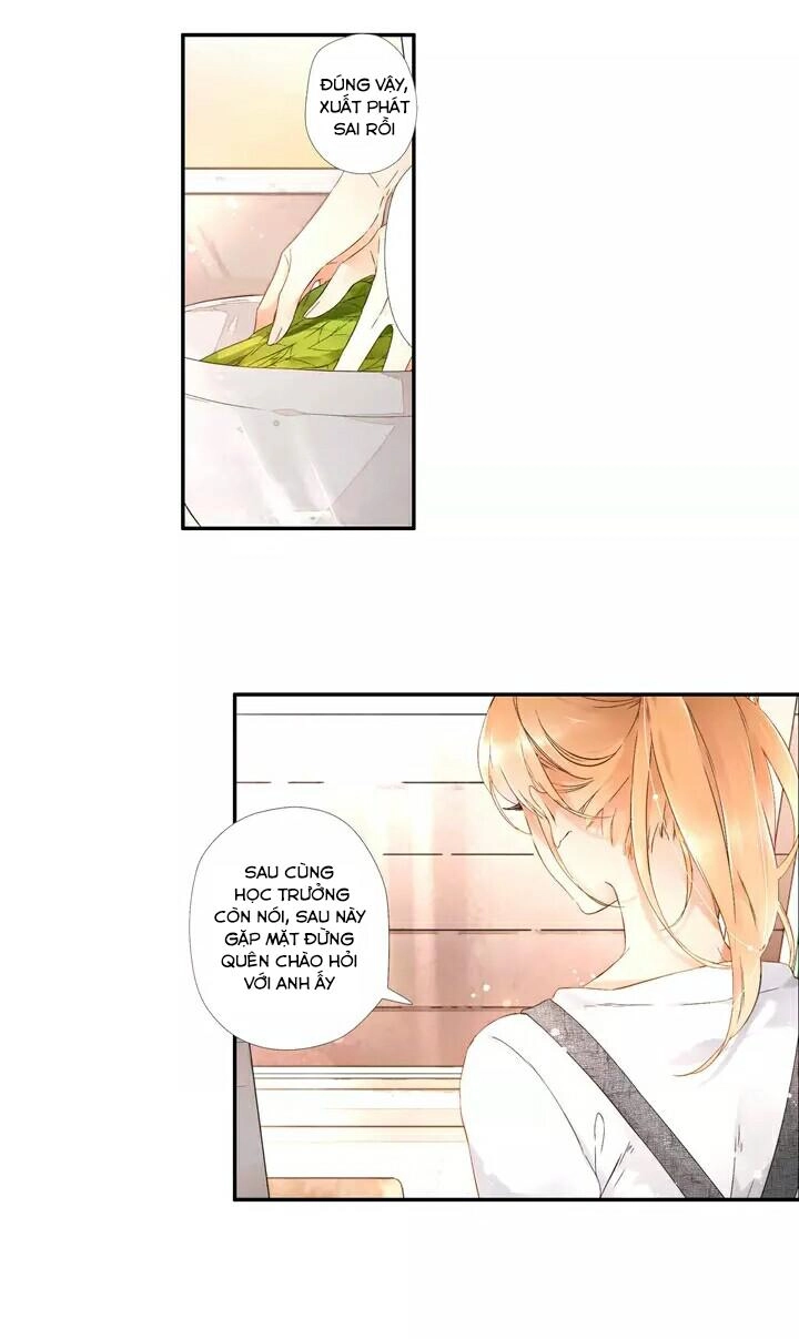 Tình Yêu Là Màu Hoa Anh Thảo Chapter 19.5 - 20