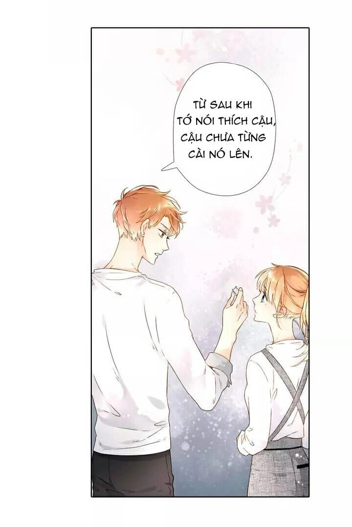 Tình Yêu Là Màu Hoa Anh Thảo Chapter 20 - 3