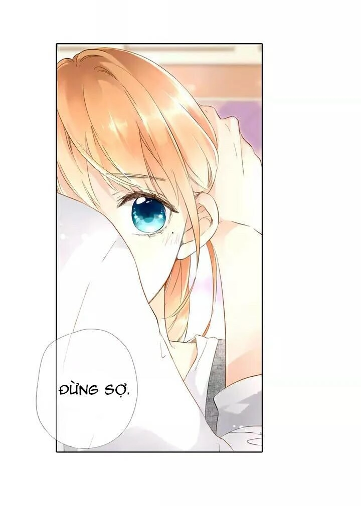 Tình Yêu Là Màu Hoa Anh Thảo Chapter 20 - 4