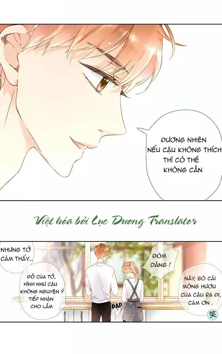 Tình Yêu Là Màu Hoa Anh Thảo Chapter 20 - 14