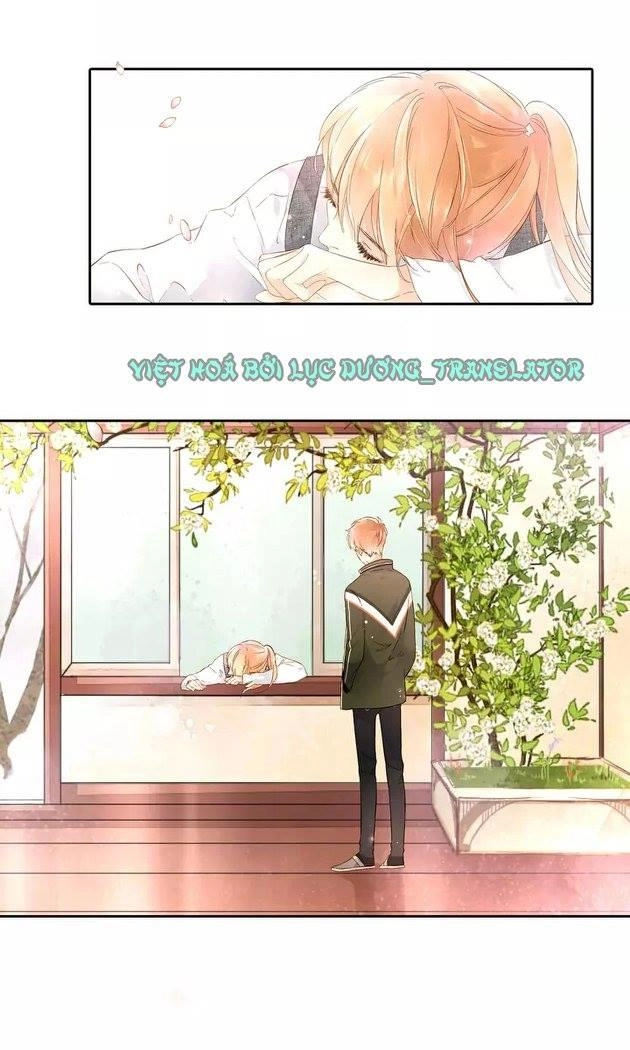 Tình Yêu Là Màu Hoa Anh Thảo Chapter 20.5 - 2