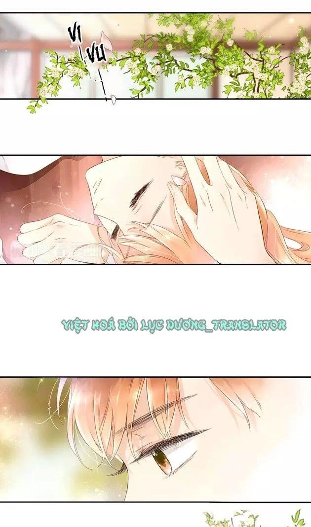 Tình Yêu Là Màu Hoa Anh Thảo Chapter 20.5 - 4