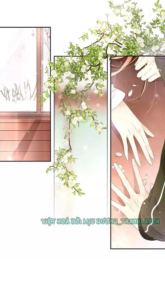 Tình Yêu Là Màu Hoa Anh Thảo Chapter 20.5 - 5