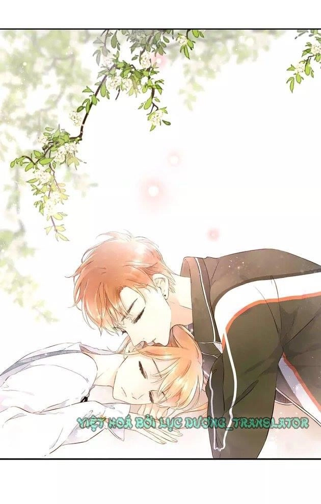 Tình Yêu Là Màu Hoa Anh Thảo Chapter 20.5 - 6