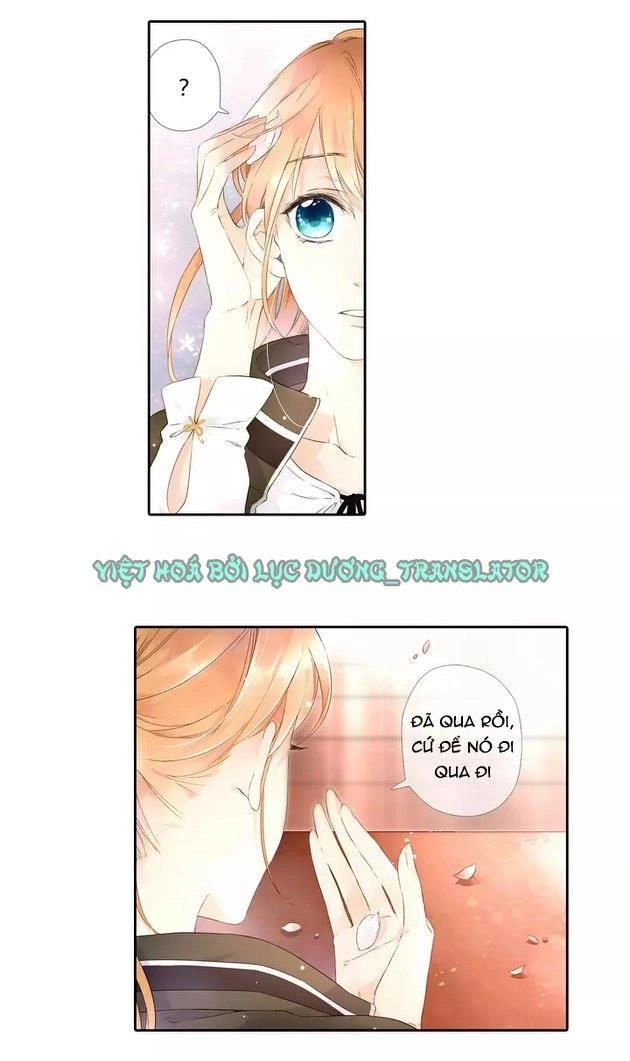 Tình Yêu Là Màu Hoa Anh Thảo Chapter 20.5 - 12