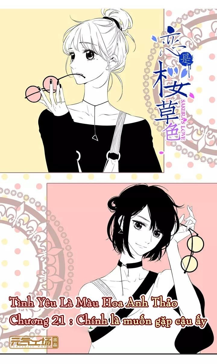 Tình Yêu Là Màu Hoa Anh Thảo Chapter 21 - 1