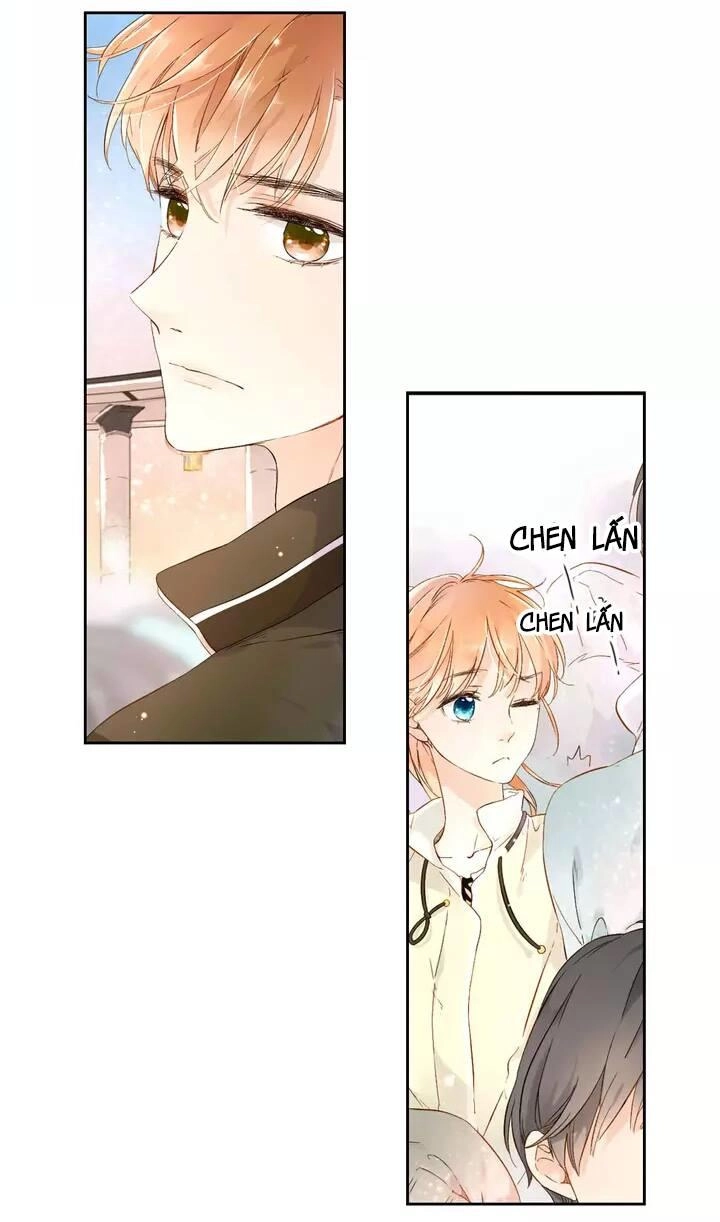 Tình Yêu Là Màu Hoa Anh Thảo Chapter 21 - 3