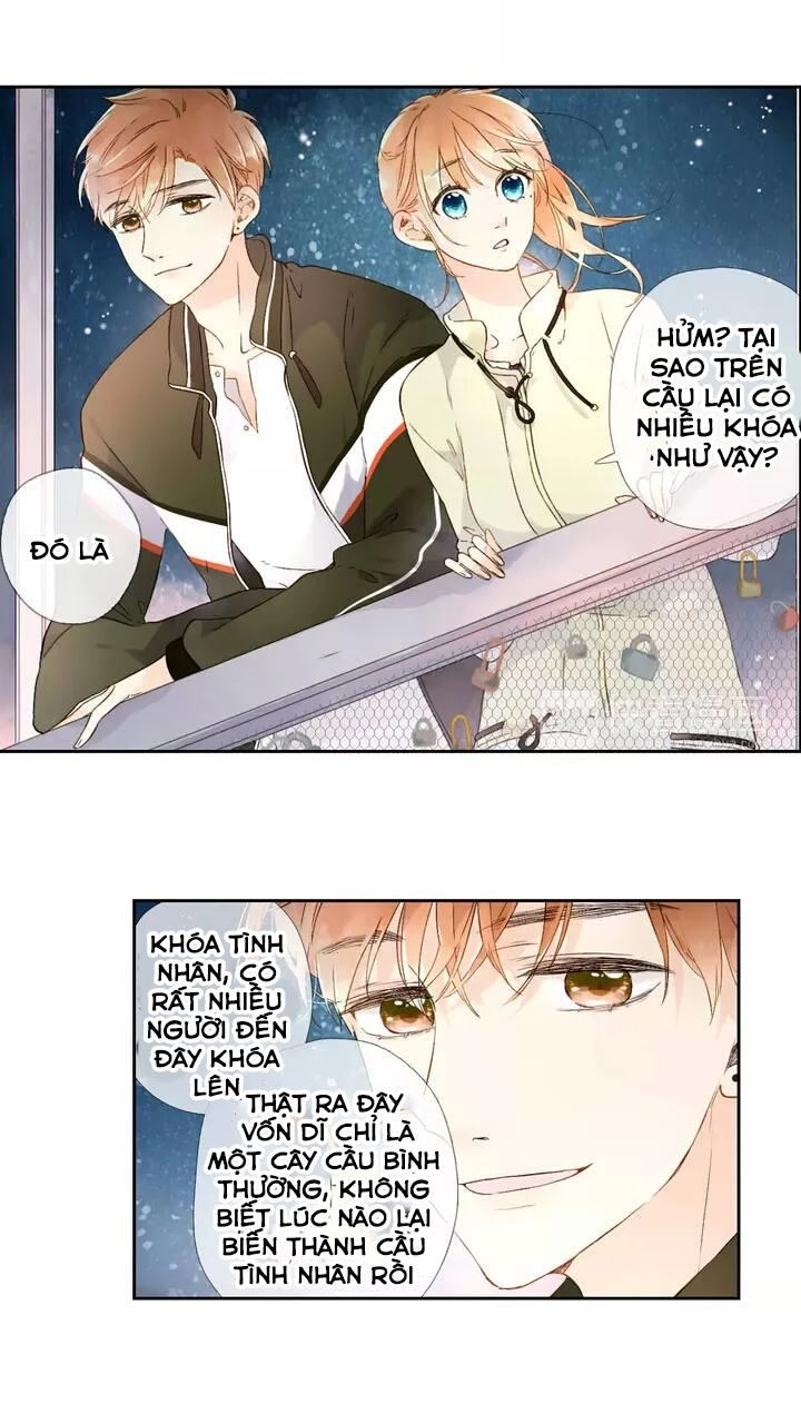 Tình Yêu Là Màu Hoa Anh Thảo Chapter 21 - 11