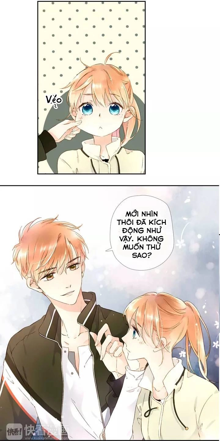 Tình Yêu Là Màu Hoa Anh Thảo Chapter 21 - 13