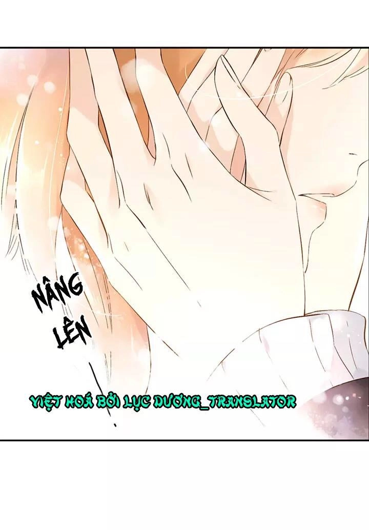 Tình Yêu Là Màu Hoa Anh Thảo Chapter 22 - 8