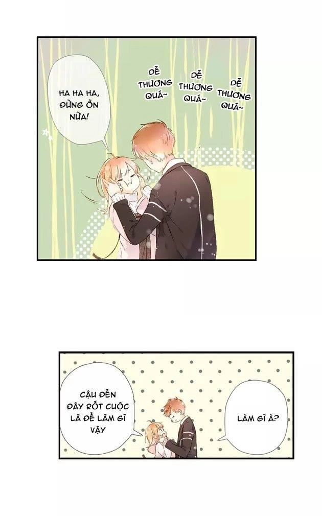 Tình Yêu Là Màu Hoa Anh Thảo Chapter 22 - 11