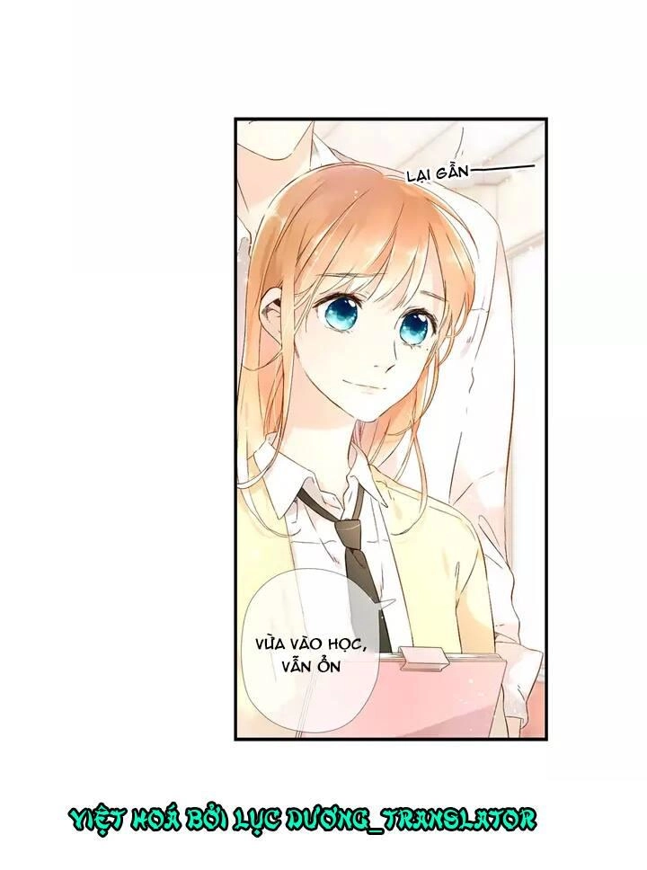 Tình Yêu Là Màu Hoa Anh Thảo Chapter 22 - 35