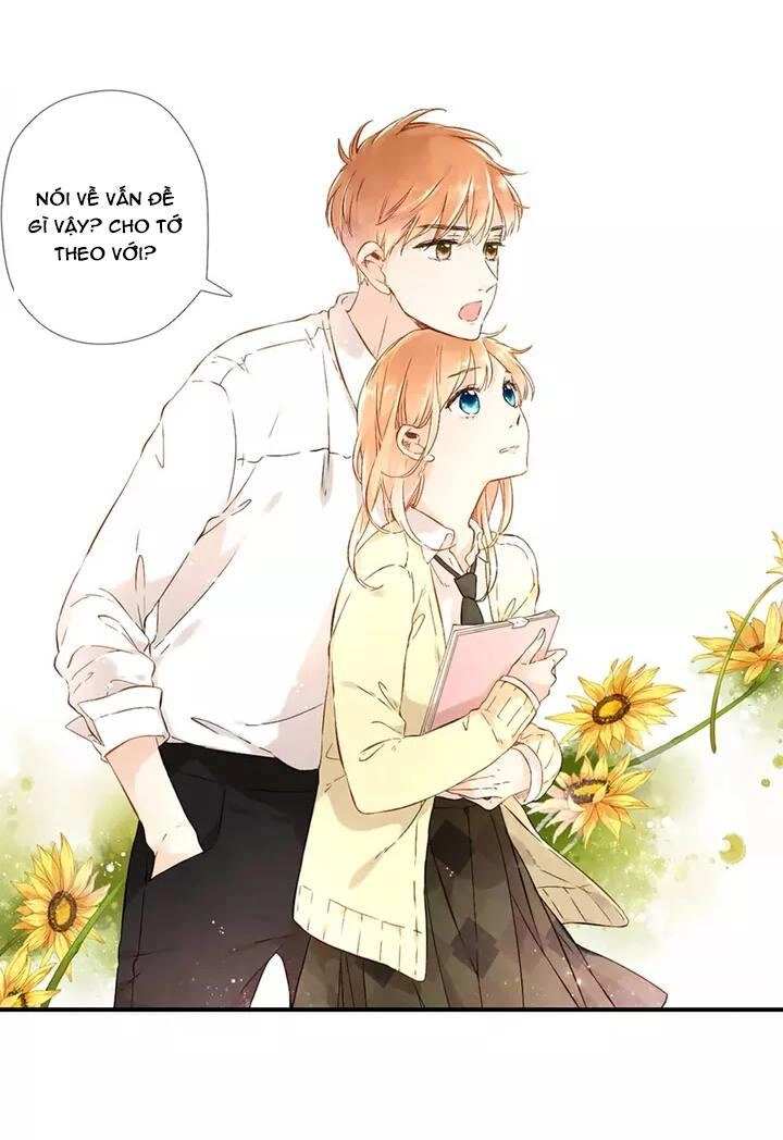 Tình Yêu Là Màu Hoa Anh Thảo Chapter 22 - 36
