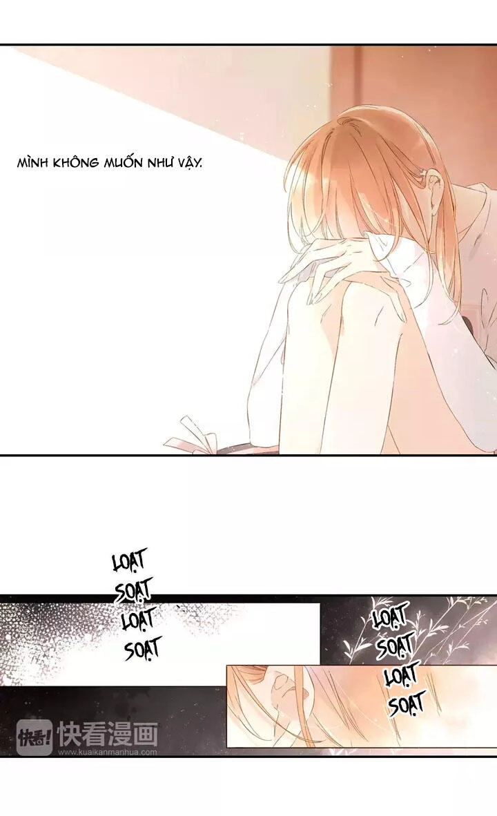 Tình Yêu Là Màu Hoa Anh Thảo Chapter 23 - 5