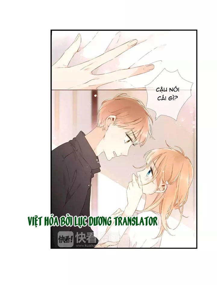 Tình Yêu Là Màu Hoa Anh Thảo Chapter 23 - 17