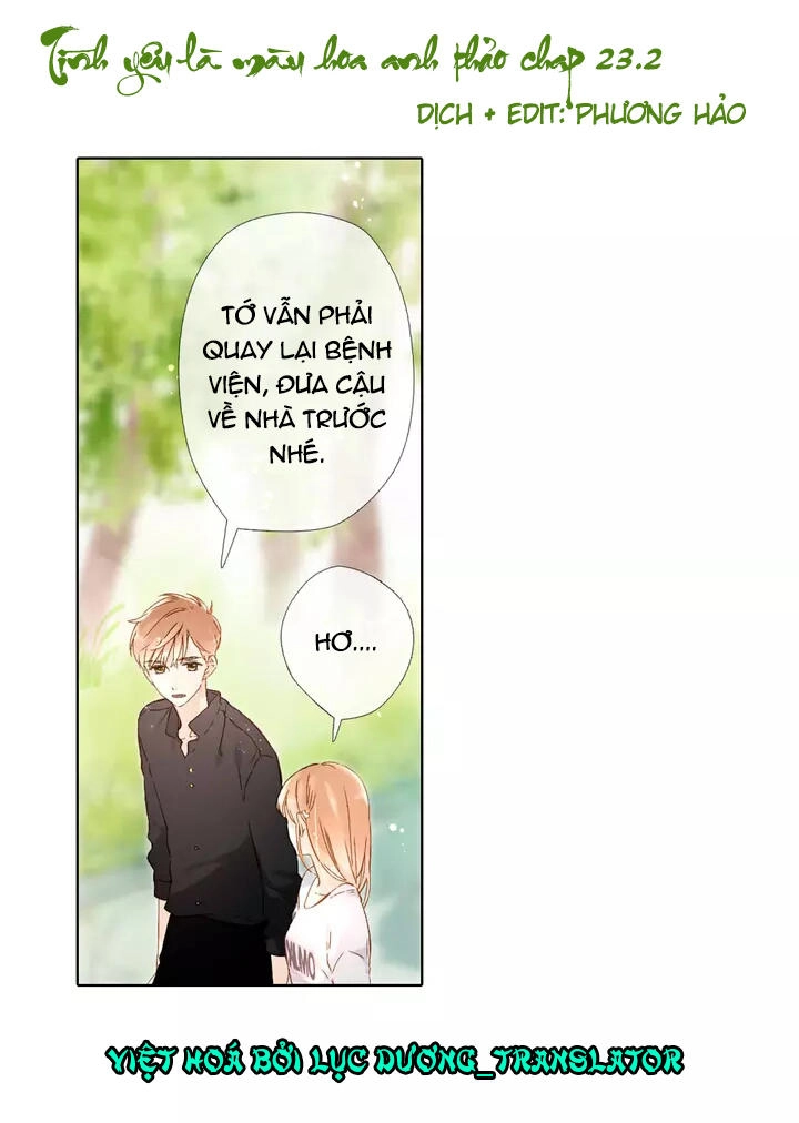 Tình Yêu Là Màu Hoa Anh Thảo Chapter 23.2 - 1