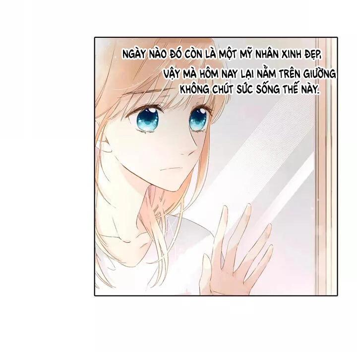 Tình Yêu Là Màu Hoa Anh Thảo Chapter 23.2 - 13