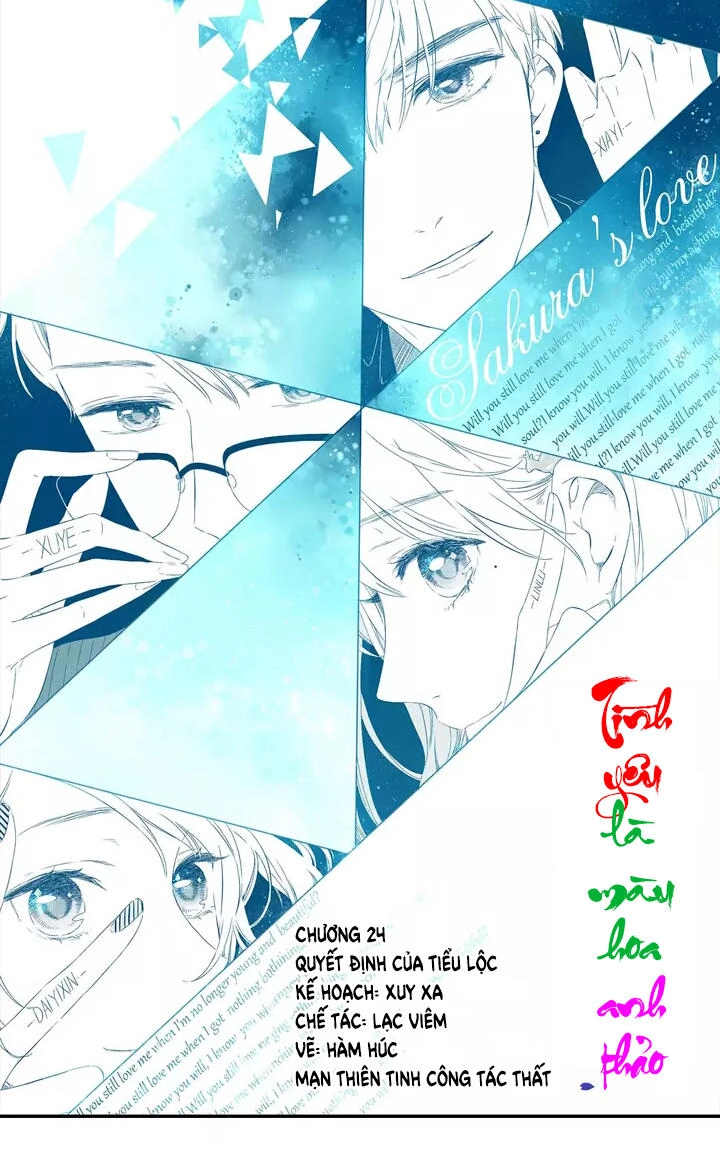 Tình Yêu Là Màu Hoa Anh Thảo Chapter 24 - 1
