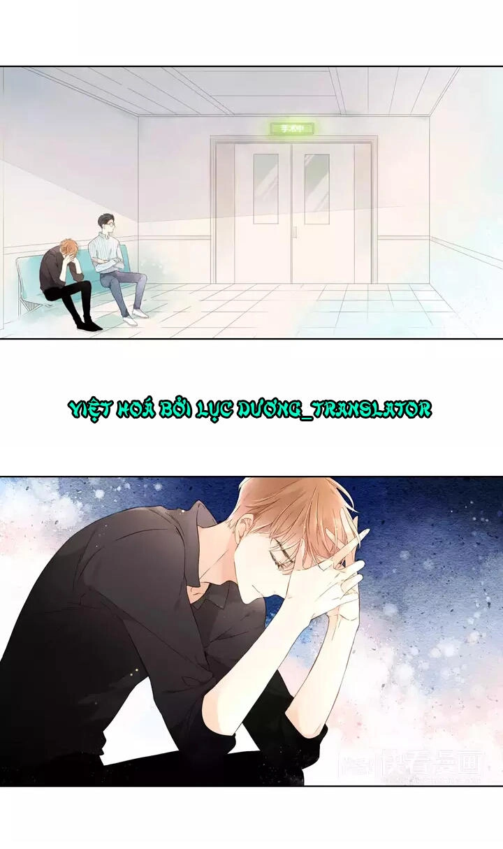 Tình Yêu Là Màu Hoa Anh Thảo Chapter 24 - 8