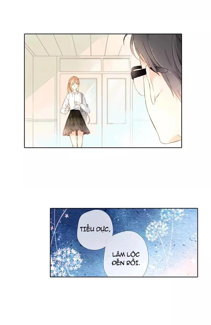 Tình Yêu Là Màu Hoa Anh Thảo Chapter 24 - 11
