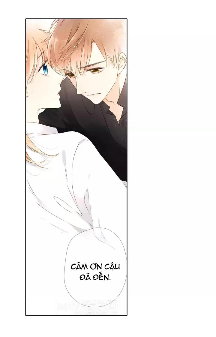 Tình Yêu Là Màu Hoa Anh Thảo Chapter 24 - 16