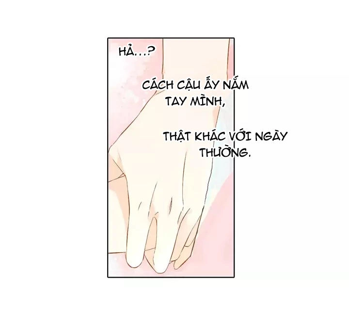 Tình Yêu Là Màu Hoa Anh Thảo Chapter 24 - 19