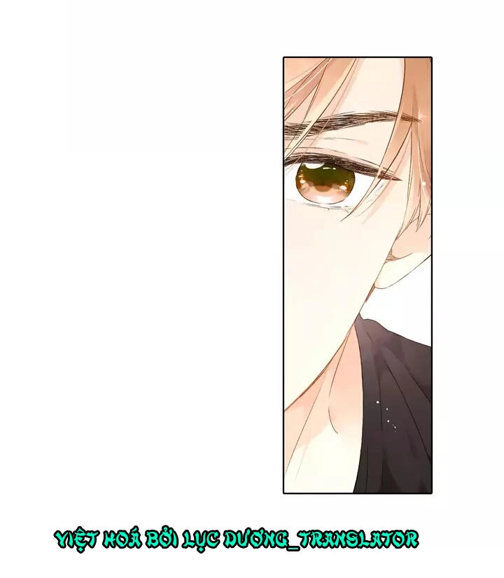 Tình Yêu Là Màu Hoa Anh Thảo Chapter 24 - 36