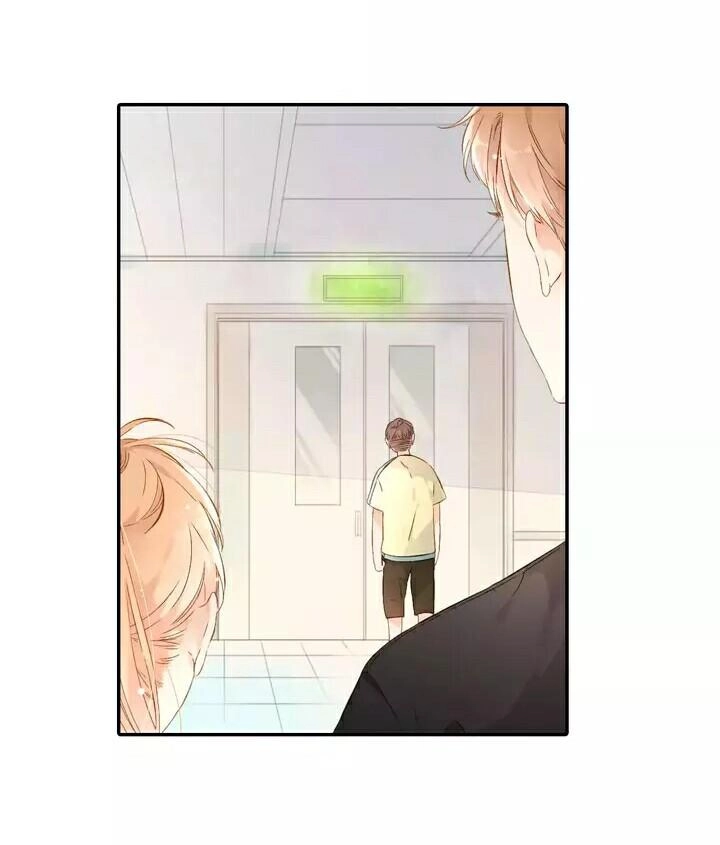 Tình Yêu Là Màu Hoa Anh Thảo Chapter 24.2 - 11