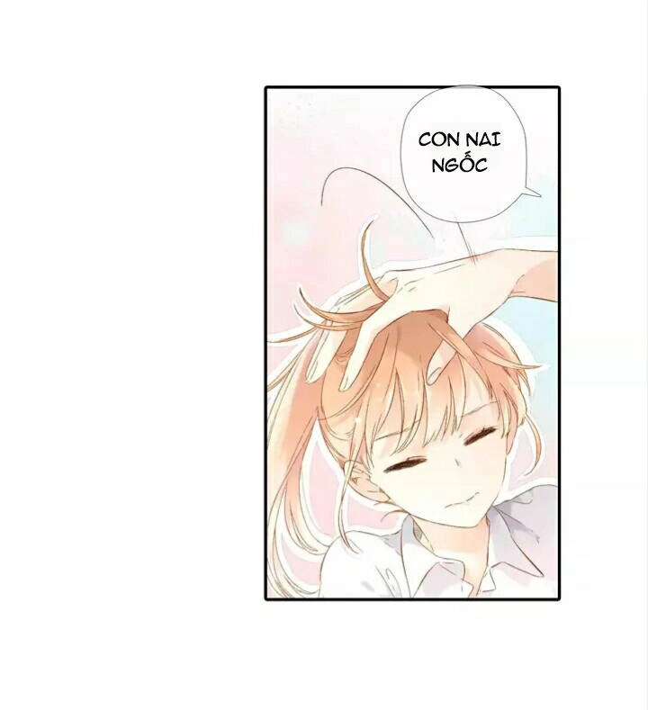 Tình Yêu Là Màu Hoa Anh Thảo Chapter 24.2 - 31