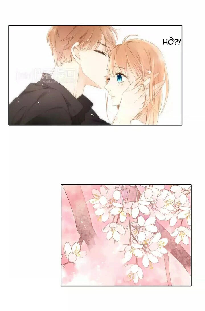 Tình Yêu Là Màu Hoa Anh Thảo Chapter 25 - 18