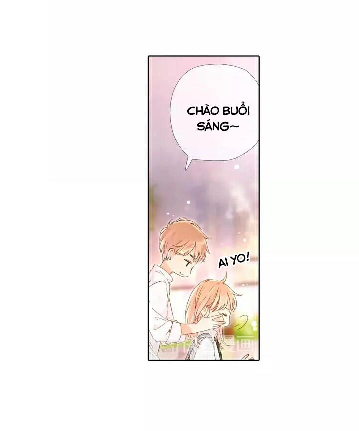 Tình Yêu Là Màu Hoa Anh Thảo Chapter 25 - 54