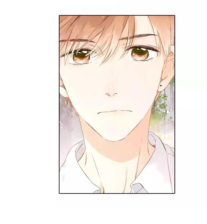 Tình Yêu Là Màu Hoa Anh Thảo Chapter 25.2 - 2