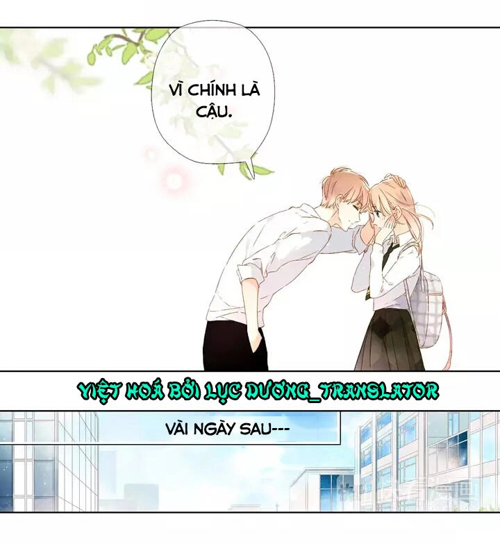 Tình Yêu Là Màu Hoa Anh Thảo Chapter 25.2 - 8