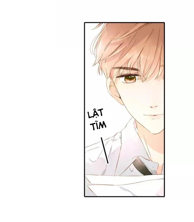 Tình Yêu Là Màu Hoa Anh Thảo Chapter 26.2 - 17