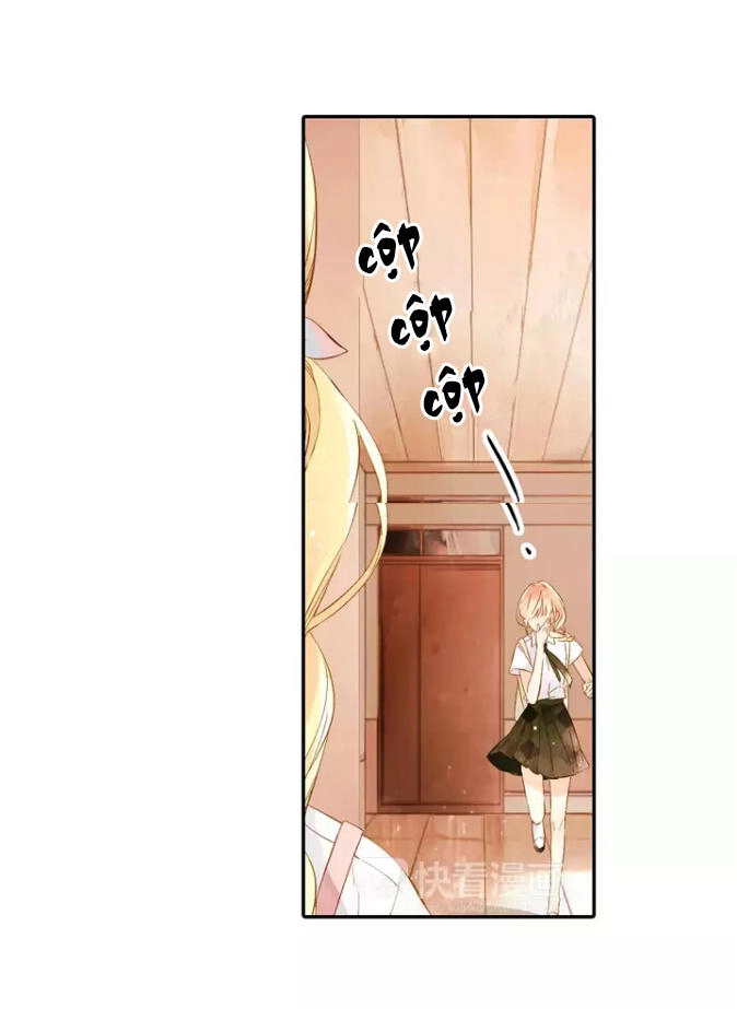 Tình Yêu Là Màu Hoa Anh Thảo Chapter 27.1 - 12